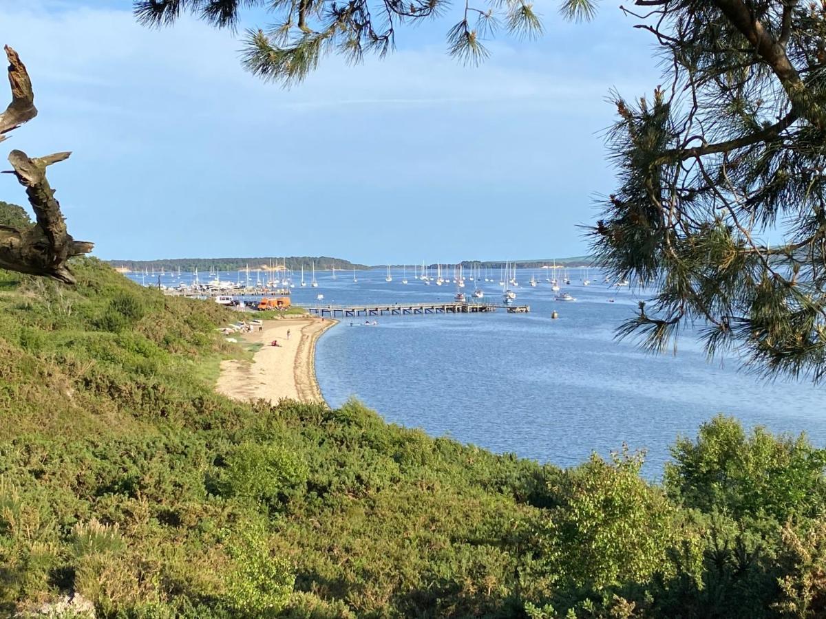 Juani Lägenhet Poole Exteriör bild